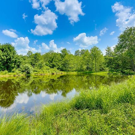 Secluded Poconos Cabin With Fire Pit On 75 Acres! イースト・ストラウズバーグ エクステリア 写真