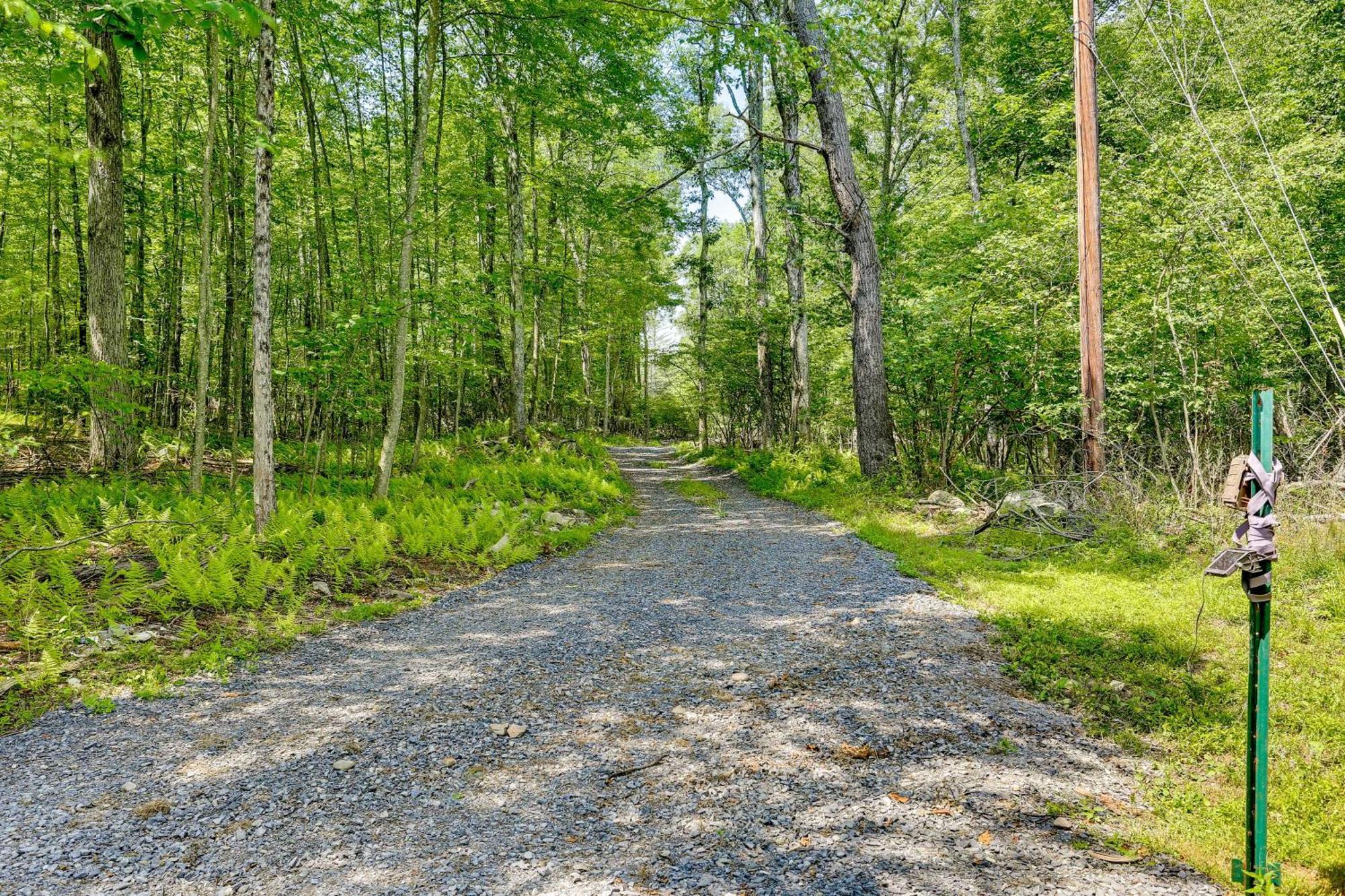 Secluded Poconos Cabin With Fire Pit On 75 Acres! イースト・ストラウズバーグ エクステリア 写真