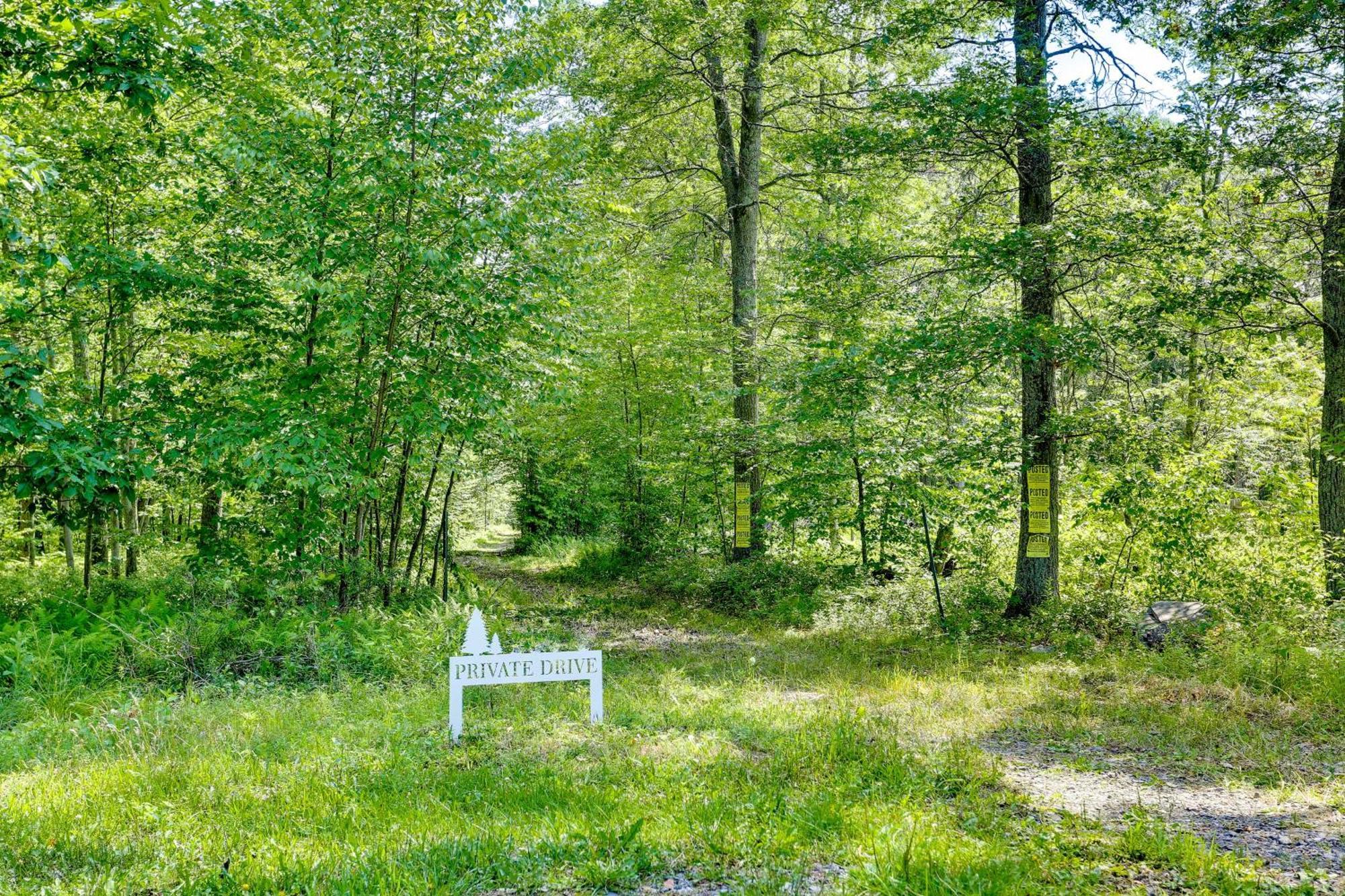 Secluded Poconos Cabin With Fire Pit On 75 Acres! イースト・ストラウズバーグ エクステリア 写真